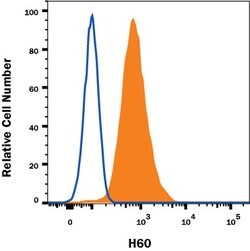 Mouse H60 Antibody, R D Systems:Antibodies:Primary Antibodies