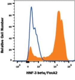 Human/Mouse/Rat HNF-3 beta/FoxA2 Antibody, R D Systems 100ug; Unlabeled:Antibodies,