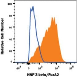 Human/Mouse/Rat HNF-3 beta/FoxA2 Antibody, R D Systems 100ug; Unlabeled:Antibodies,