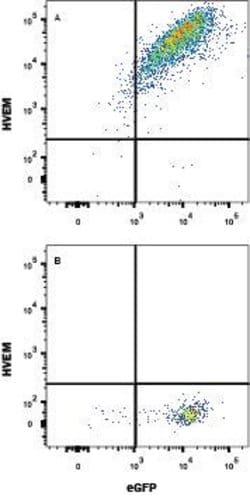 Mouse HVEM/TNFRSF14 PE-conjugated Antibody, R D Systems 100ug; PE:Antibodies,