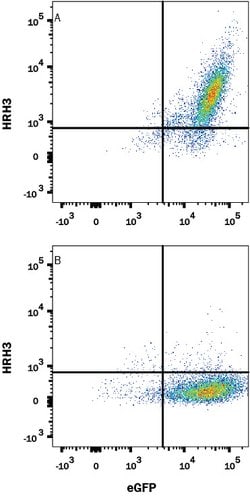 Human Histamine H3 R Antibody, R D Systems 100 &mu;g; Unconjugated:Antibodies,