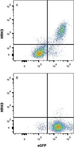 Human/Mouse/Rat Histamine H3 R Antibody, R D Systems:Antibodies:Primary
