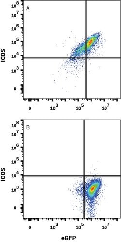 Mouse ICOS Antibody, R D Systems 100 &mu;g; Unconjugated:Antibodies, Monoclonal