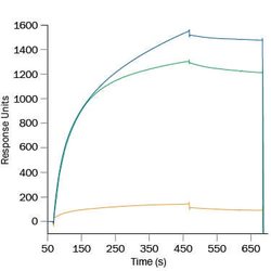 Human ICOS Antibody, R D Systems:Antibodies:Primary Antibodies