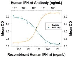Human IFN-alpha I Antibody, R D Systems 100 &mu;g; Unconjugated:Anticorps,