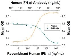 Human IFN-alpha I Antibody, R D Systems 100 &mu;g; Unconjugated:Antikroppar