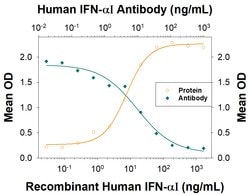 Human IFN-alpha I Antibody, R D Systems 100 &mu;g; Unconjugated:Antibodies,