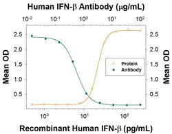 Human IFN-beta Antibody, R D Systems 100&mu;g:Antibodies, Monoclonal