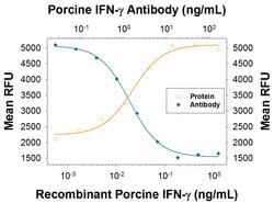 Porcine IFN-gamma Antibody, R D Systems:Antibodies:Primary Antibodies