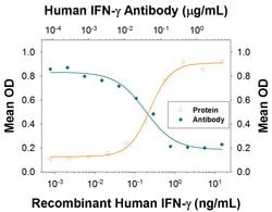 Human IFN-gamma Antibody, R D Systems 25 &mu;g | Buy Online | R&D Systems | Fisher Scientific