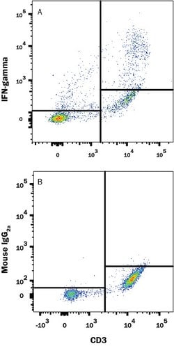 Human IFN-gamma Antibody, R D Systems:Antibodies:Primary Antibodies