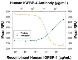 Human IGFBP-4 Antibody, R D Systems 100&mu;g:Antibodies, Monoclonal