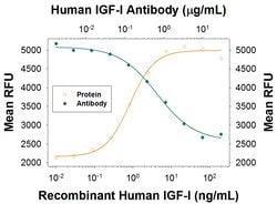 Human IGF-I/IGF-1 Antibody, R D Systems 25 &mu;g | Buy Online | R&D Systems | Fisher Scientific