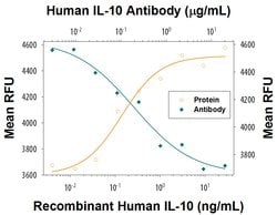 Human IL-10 Antibody, R D Systems:Antibodies:Primary Antibodies