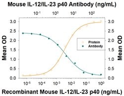 Mouse IL-12/IL-23 p40 Antibody, R D Systems:Antibodies:Primary Antibodies