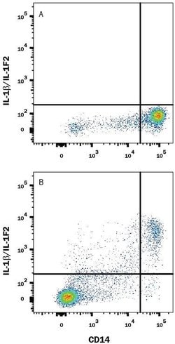 Human IL-1 beta/IL-1F2 Antibody, R D Systems 100&mu;g:Antibodies, Monoclonal