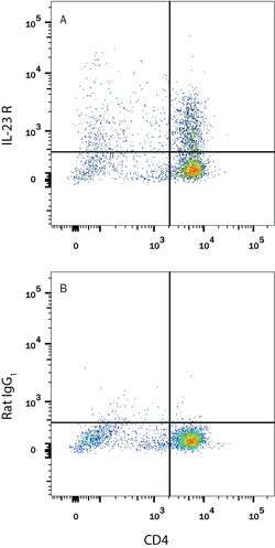 Mouse IL-23R Antibody, R D Systems 100 &mu;g; Unconjgated:Antibodies, Monoclonal
