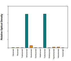 Anti- Ibritumomab (Anti-Idiotype) Antibody, R D Systems:Antibodies:Primary