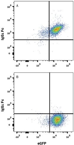 Human IgG Fc PE-conjugated Antibody, R D Systems 25 Tests | Buy Online | R&D Systems | Fisher Scientific