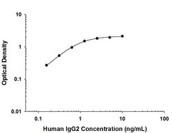 Human IgG2 Antibody, R D Systems:Antibodies:Primary Antibodies