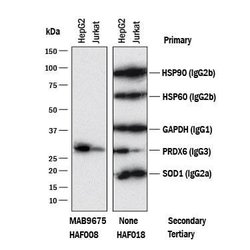 Mouse IgG3 Antibody, R D Systems 100&mu;g:Antibodies, Monoclonal