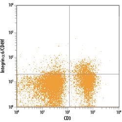 Human/Mouse/Bovine Integrin alpha 6/CD49f Alexa Fluor 488-conjugated Antibody,