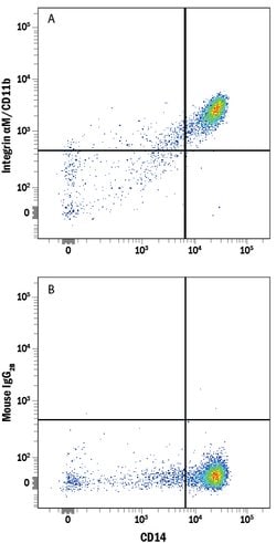 Human CD11b/Integrin alpha M Alexa Fluor 700-conjugated Antibody, R D Systems