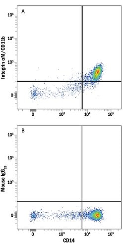 Human CD11b/Integrin alpha M Alexa Fluor 750-conjugated Antibody, R D Systems