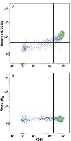 Human CD11b/Integrin alpha M Alexa Fluor 405-conjugated Antibody, R D Systems