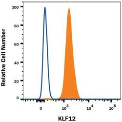 Human KLF12 Alexa Fluor 647-conjugated Antibody, R D Systems 100 &mu;g | Buy Online | R&D Systems | Fisher Scientific