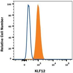 Human KLF12 Alexa Fluor 594-conjugated Antibody, R D Systems 100 &mu;g | Buy Online | R&D Systems | Fisher Scientific