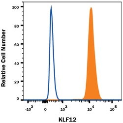 Human KLF12 Antibody, R D Systems 25&mu;g; Unlabeled:Antibodies, Monoclonal