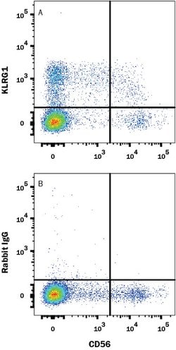 Human KLRG1 Antibody, R D Systems 100 μg; Unconjgated:Antibodies, Monoclonal