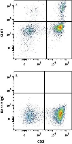 Human Ki67/MKI67 Alexa Fluor 647-conjugated Antibody, R D Systems 100&mu;g:Antibodies,