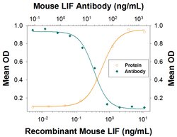 Mouse LIF Antibody, R D Systems 100&mu;g; Unlabeled:Antibodies, Polyclonal
