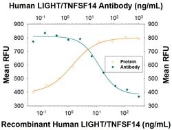 Human LIGHT/TNFSF14 Antibody, R D Systems:Antibodies:Primary Antibodies