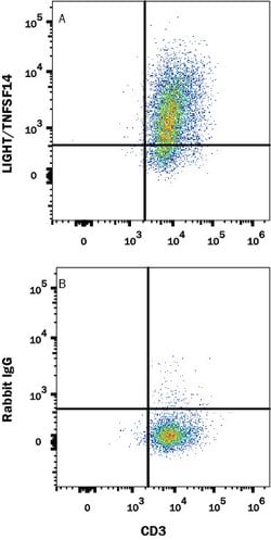 Human LIGHT/TNFSF14 Antibody, R D Systems:Antibodies:Primary Antibodies