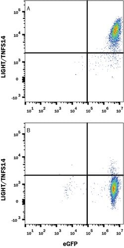 Mouse LIGHT/TNFSF14 Antibody, R D Systems:Antibodies:Primary Antibodies
