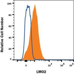 Human LMO2 Antibody, R D Systems 100&mu;g; Unlabeled:Antibodies, Polyclonal