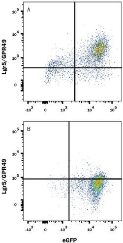 Mouse Lgr5/GPR49 APC-conjugated Antibody, R D Systems:Antibodies:Primary