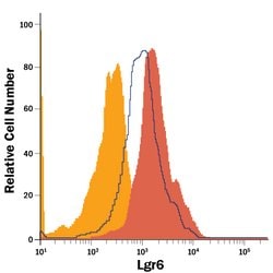 Human Lgr6 Antibody, R D Systems 25&mu;g:Antibodies, Monoclonal
