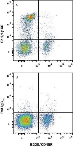Mouse Ly-6G (Gr-1) Antibody, R D Systems 100&mu;g:Antibodies, Monoclonal