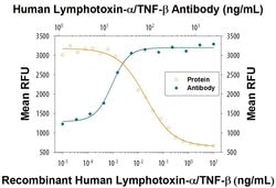 Human Lymphotoxin-alpha/TNF-beta Antibody, R D Systems 100&mu;g:Antibodies,