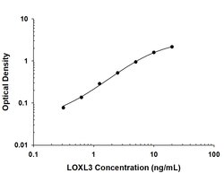 Human Lysyl Oxidase Homolog 3/LOXL3 Antibody, R D Systems 100 &mu;g; Unconjugated:Antibodies,