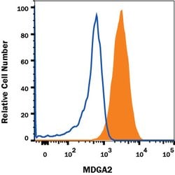Human/Rat MDGA2 Antibody, R D Systems 100&mu;g:Antibodies, Monoclonal