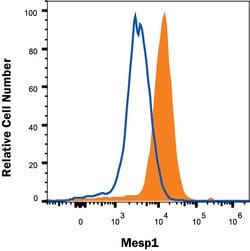 Human MESP1 Antibody, R D Systems 100 &mu;g; Unconjugated:Antibodies, Monoclonal