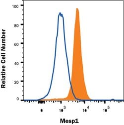 Mesp1 Antibody (939826), Unconjugated, R D Systems 25 &mu;g; Unconjugated:Antibodies,