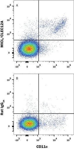 Mouse MICL/CLEC12A Antibody, R D Systems:Antibodies:Primary Antibodies