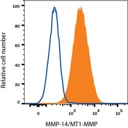 Human MMP-14/MT1-MMP Alexa Fluor 700-conjugated Antibody, R D Systems 100