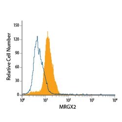 Human MRGX2 Antibody, R D Systems 100ug; Unlabeled:Antibodies, Monoclonal